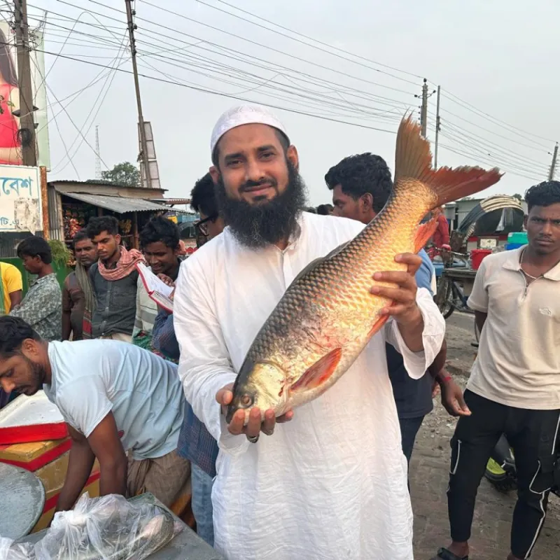 রুই মাছ