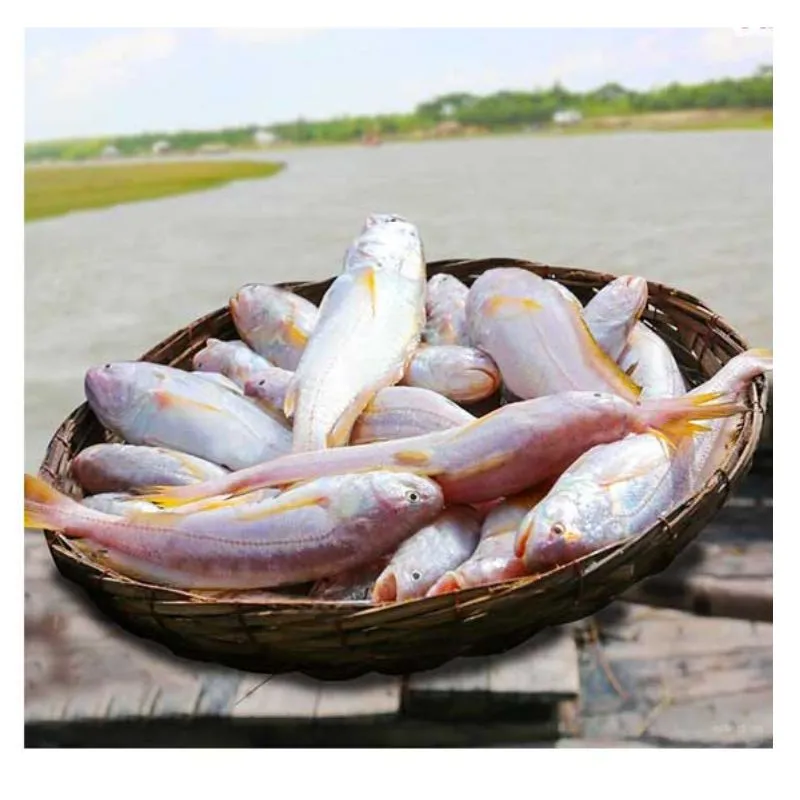 নদীর পোয়া মাছ