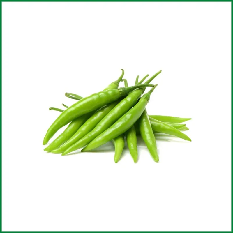 কাঁচা মরিচ