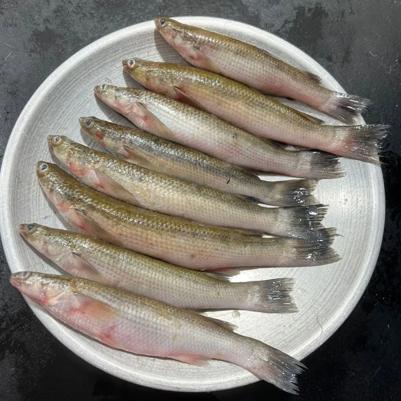নদীর বাটা মাছ