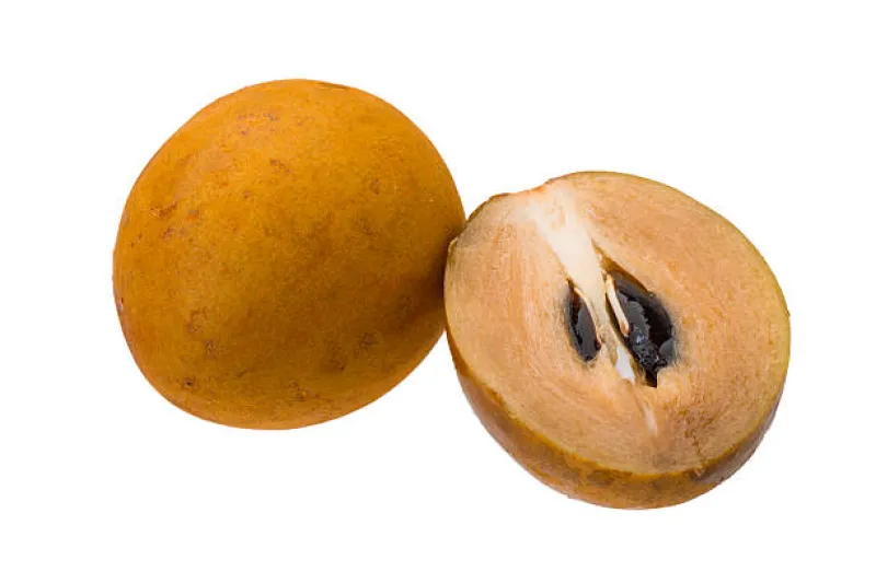 দেশি বড় সফেদা (Sapodilla)