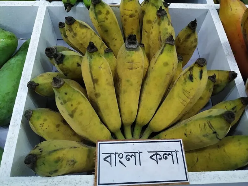 দেশি বাংলা কলা (Deshi Bangla Kola)