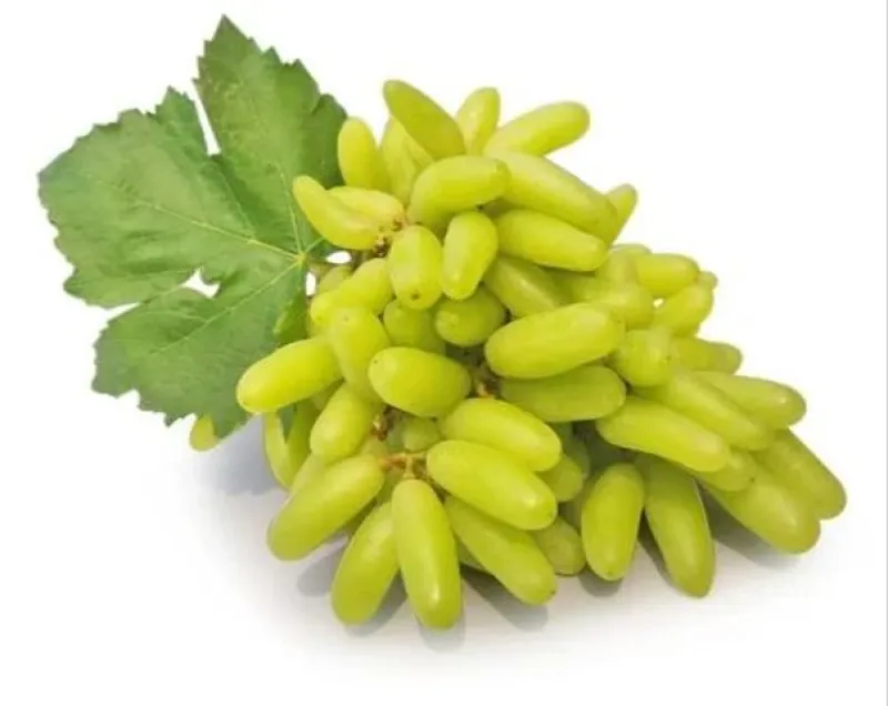 সবুজ আঙ্গুর (Green Grapes)