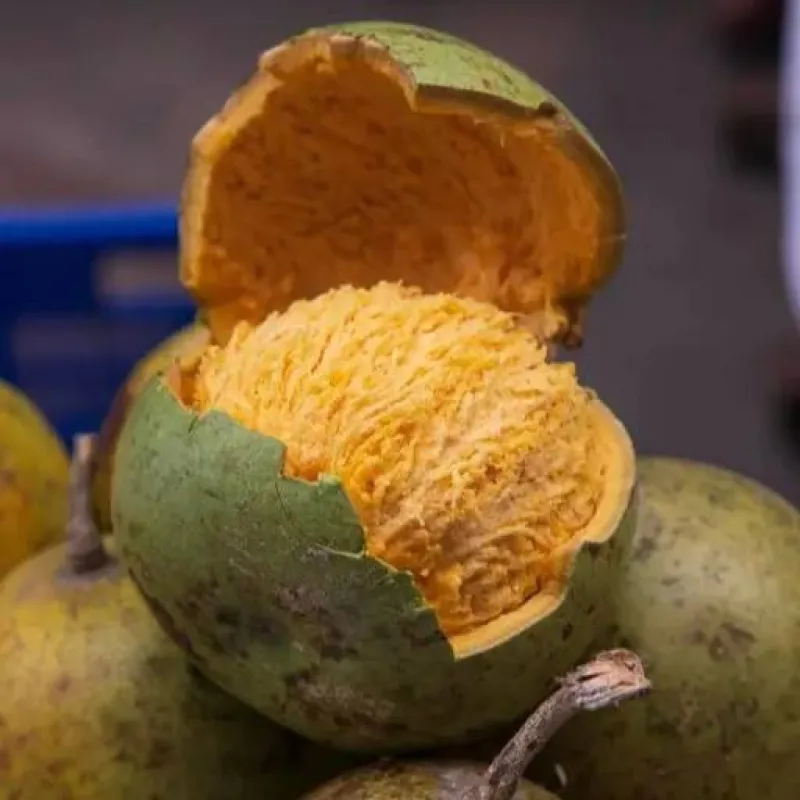 দেশি বেল (Bengal Quince)